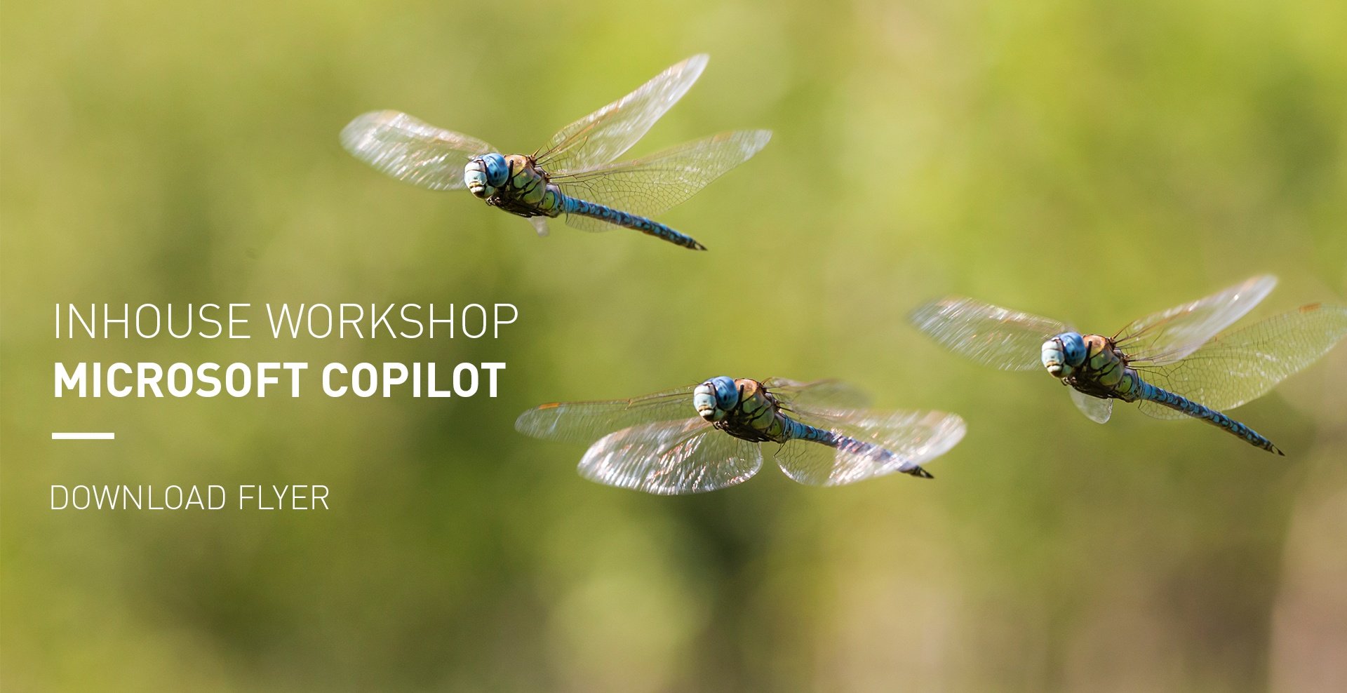 MTF Microsoft Copilot Workshop